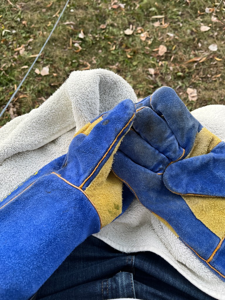 Photo of welding gloves and a towel on the lap of a person hoping to find an escaped owl.