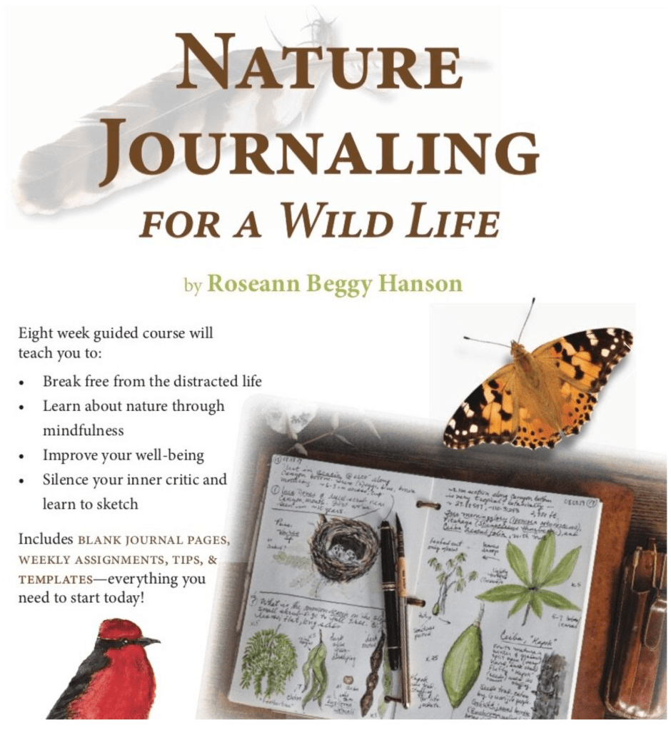 Cover of “Nature Journaling for a Wild Life,” by Roseann Beggy Hanson.