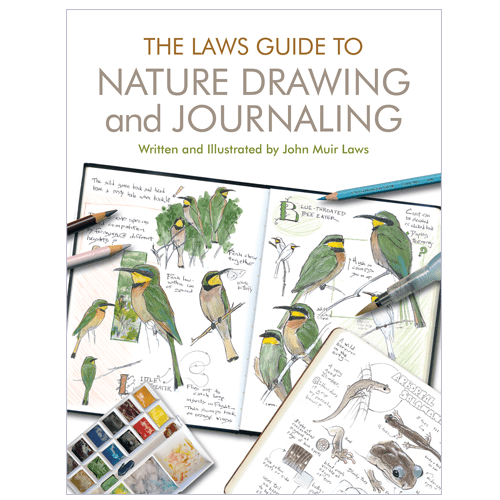 Cover of “The Laws Guide to Nature Drawing and Journaling"